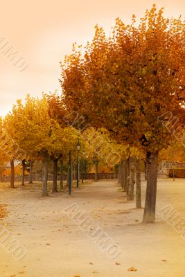 old-fashioned landscape