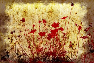 flower abstract textures and backgrounds