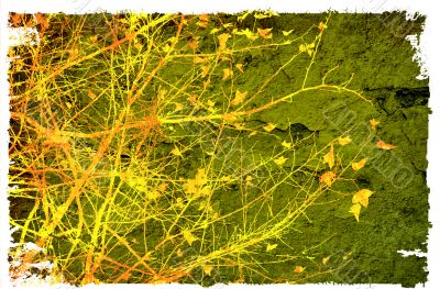 flower abstract textures and backgrounds