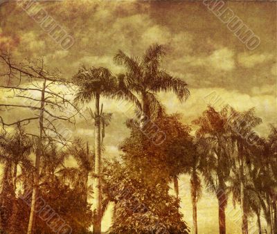 old-fashioned landscape