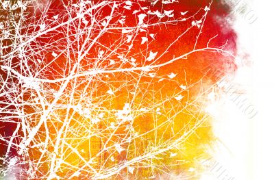 flower abstract textures and backgrounds