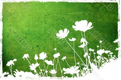 flower abstract textures and backgrounds