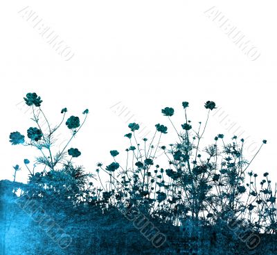 flower abstract textures and backgrounds
