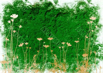 flower abstract textures and backgrounds