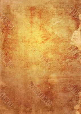 Detailed textured grunge background/frame