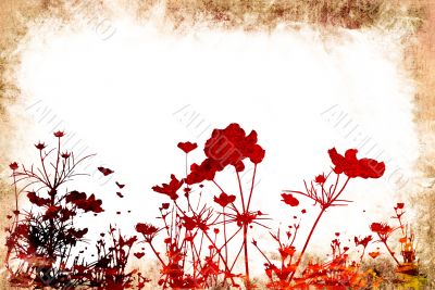 flower abstract textures and backgrounds