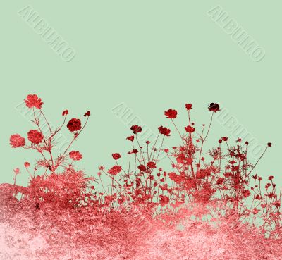 flower abstract textures and backgrounds
