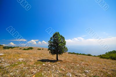 mountain