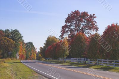 Country Road