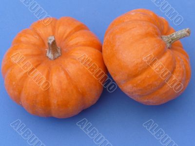 Orange Pumpkins on Blue
