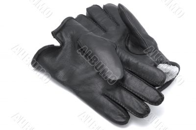 glove