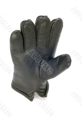 leather glove