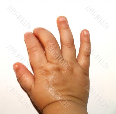 babys hand