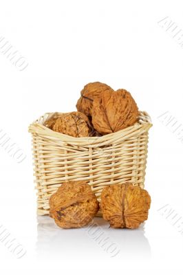Walnuts in the basket
