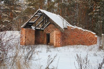 House in the forest