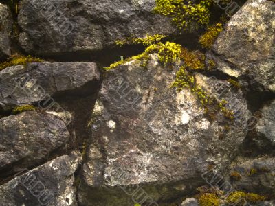 Old Rock Wall