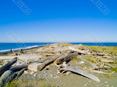 Beach Landscape