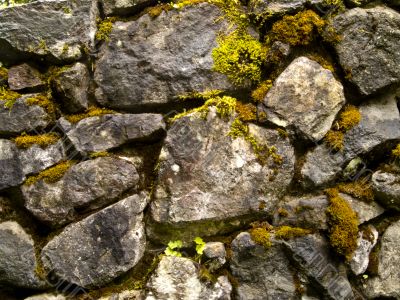 Old Rock Wall