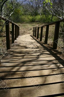 Wooden Bridge