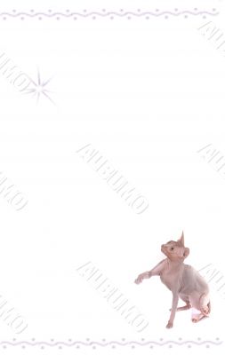cat letter page