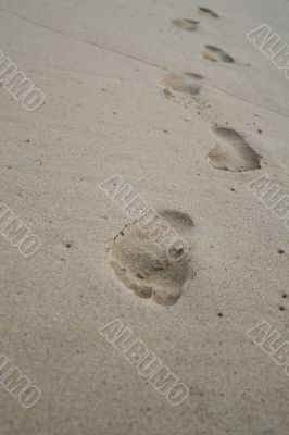 Footsteps On The Beach