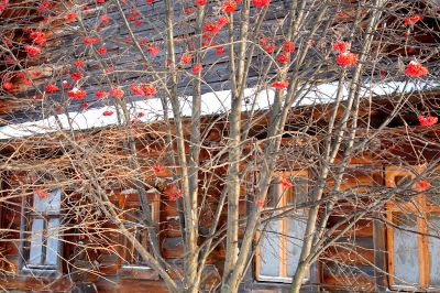 Rowan