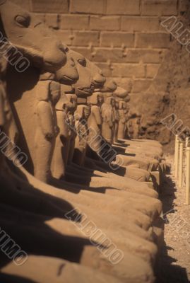 Ram sphinxes, Karnak Temple