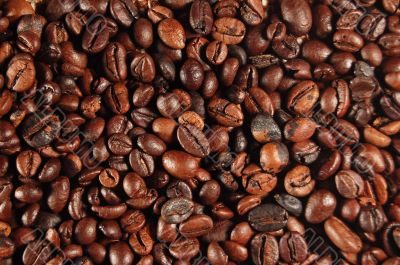Coffee beans 01