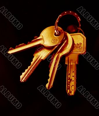 House keys