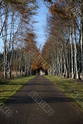 Path to Castle