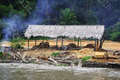 Cutting Down the Rain Forest