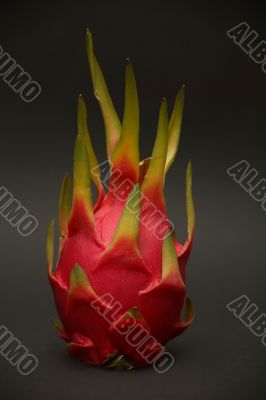 Dragon Fruit