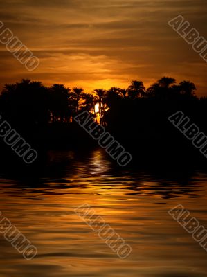 Sunset with Palm Trees