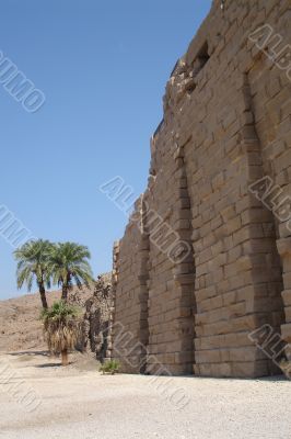 Egypt Series (Palm Tree Vertical)