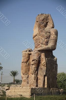 Egypt Series (Statue - Right)