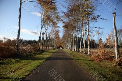 Path to Castle