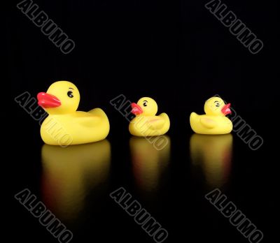 Three Rubber Duckies