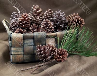 Pine Cone Basket