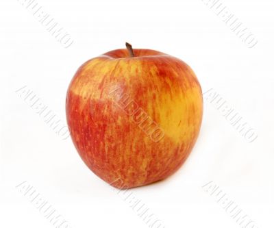 Red apple