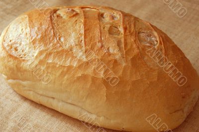 Bread