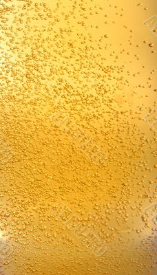 Beer and bubbles