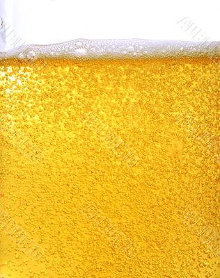 Beer and bubbles