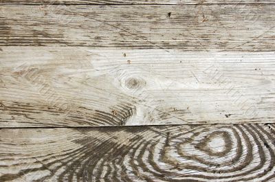 Wood texture
