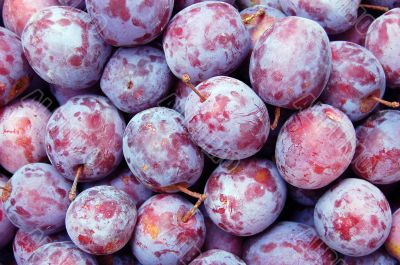 Plums