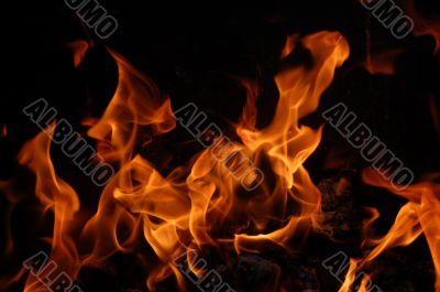 Fire
