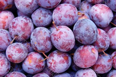 Plums