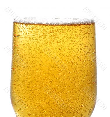 Beer and bubbles