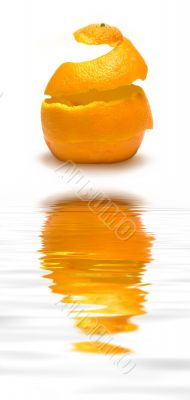 Orange and Reflection
