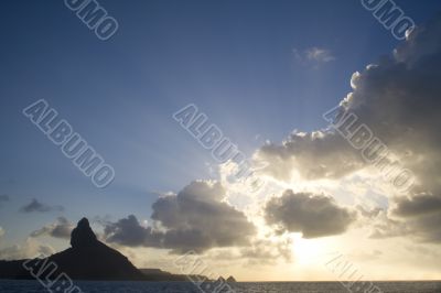 Rays of Light