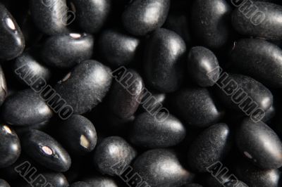 Beans Texture (closer)